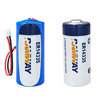 uploads/erp/collection/images/Battery/CXY/Bat118142/img_b/Bat118142_img_b_1