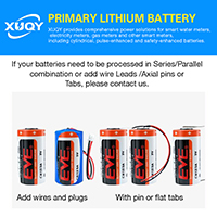 uploads/erp/collection/images/Battery/CXY/Bat118715/img_b/Bat118715_img_b_2