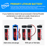 uploads/erp/collection/images/Battery/CXY/Bat318404/img_b/Bat318404_img_b_2