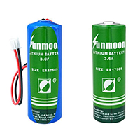 uploads/erp/collection/images/Battery/CXY/Bat618098/img_b/Bat618098_img_b_1