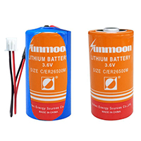 uploads/erp/collection/images/Battery/CXY/Bat619017/img_b/Bat619017_img_b_1